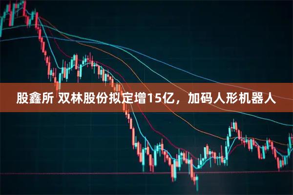 股鑫所 双林股份拟定增15亿，加码人形机器人