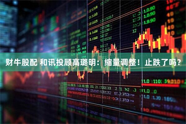 财牛股配 和讯投顾高璐明：缩量调整！止跌了吗？