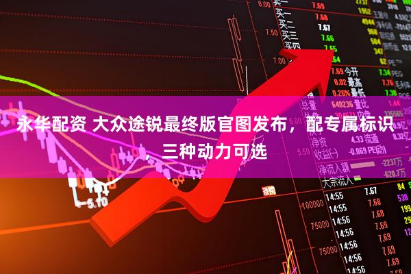 永华配资 大众途锐最终版官图发布，配专属标识，三种动力可选