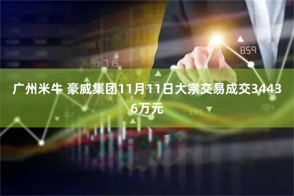广州米牛 豪威集团11月11日大宗交易成交34436万元