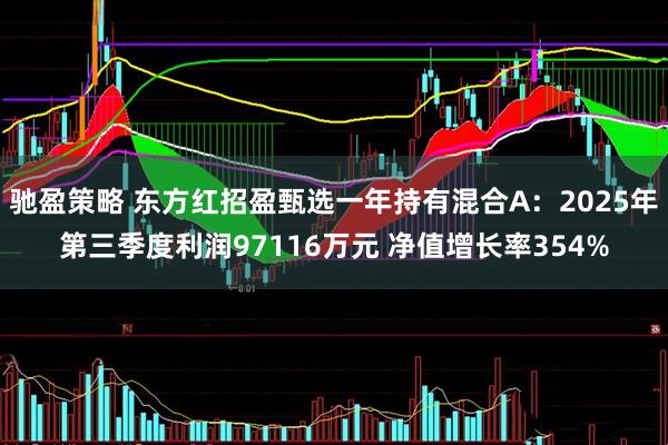 驰盈策略 东方红招盈甄选一年持有混合A:2025年第三季度利润97116万元 净值增长率354%