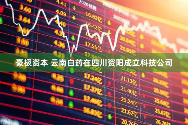 豪极资本 云南白药在四川资阳成立科技公司