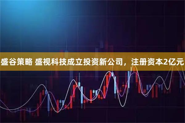 盛谷策略 盛视科技成立投资新公司，注册资本2亿元