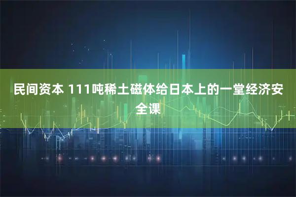 民间资本 111吨稀土磁体给日本上的一堂经济安全课
